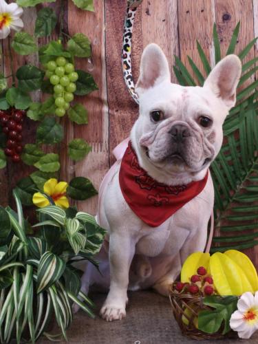 20230829ブーくん